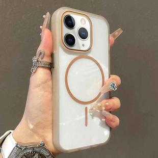 For iPhone 11 Pro Max Translucent Armor MagSafe N52 Thin Circle Phone Case(Transparent Gold)