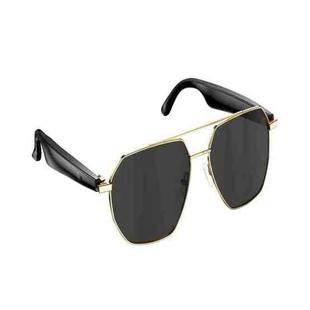 W100C Smart Glasses, Support AI Conversation / AI Intelligent Translation / Bluetooth Call(Black)