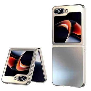 For Samsung Galaxy Z Flip6 5G AG Frosted Folding Shockproof Phone Case(Gold)