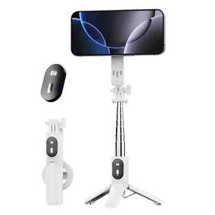 P08Y Pro Portable Travel Selfie Stick Tripod Mini Magsafe Phone Stand with Remote Control(White)