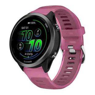 20mm Silver Steel Buckle Translucent Color Silicone Watch Band(Red)