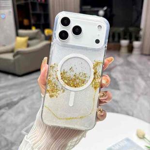 For iPhone 17 Pro Max Gilding MagSafe Hybrid Clear TPU Phone Case(White)