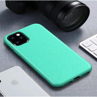 For iPhone 11 Starry Series Shockproof Straw Material + TPU Protective Case (Green)