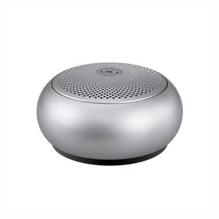 EWA A110mini High Hidelity Bluetooth Speaker Small Size High Power Bass, TWS Bluetooth Technology, Support TF(Silver)
