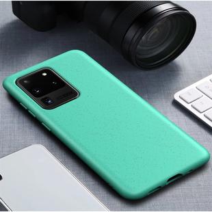 For Galaxy S20+ Starry Series Shockproof Straw Material + TPU Protective Case(Green)