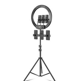 18 inch+6 Phone Clips Dimmable Color Temperature LED Ring Fill Light Live Broadcast Set With 2.1m Tripod Mount, CN Plug