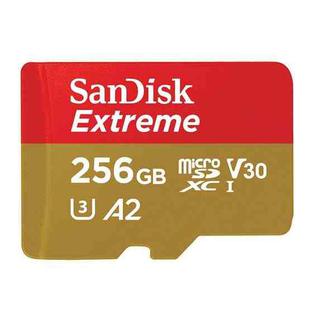SanDisk U3 High-Speed Micro SD Card  TF Card Memory Card for GoPro Sports Camera, Drone, Monitoring 256GB(A2), Colour: Gold Card