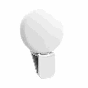 2 PCS  Mobile Phone Fill Light Camera Photo LED Selfie Light(White)