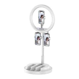 JM03 11 Inch 3 Position Fill Light Beauty Selfie Desktop Bracket Live Broadcast Integrated Floor LED Light(White)