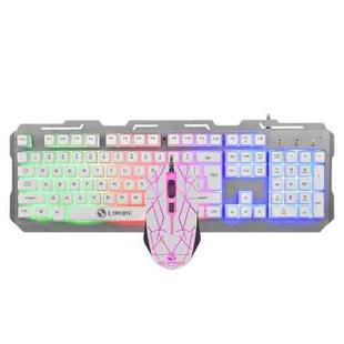 LIMEIDE T20 104-Keys Wired Metal Keyboard and Mouse Set(White)
