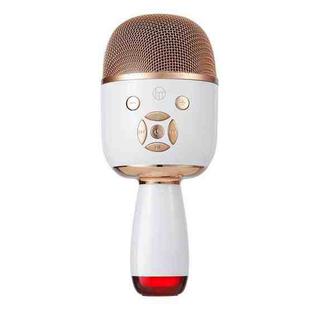 K58 Home Bluetooth Wireless Microphone With Lamp Mobile Phone K Song Children Microphone Audio(White)