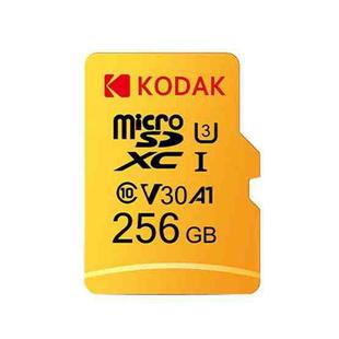 Kodak U3 Monitoring Recorder Memory Card, Capacity: 256GB