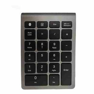 BT304 22 Keys Laptop Mini Wireless Keyboard, Spec: Bluetooth (Gray)