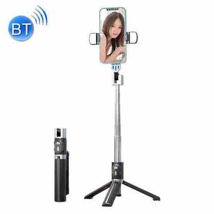 Retractable Bluetooth Selfie Stick Mobile Phone Live Broadcast Tripod Stand, Style: Double Light (Black)