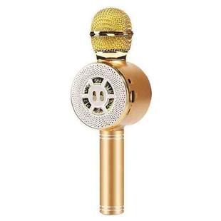 WS-669 Multifunctional RGB Light Effect Wireless Bluetooth Microphone with Audio Function(Gold)