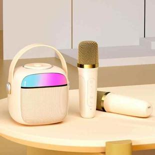 Havit P1 Portable Singing Home Wireless Bluetooth Speaker Microphone Set, Style: Dual-microphone