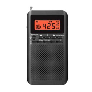 QL-218 Portable FM/AM Two-Band Alarm Clock Digital Display Radio, Style: US Version(Black)