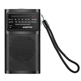 J-180 Portable Pointer FM/AM Two-band Radios with Carrying Clip, Style: High-end Version(Black)