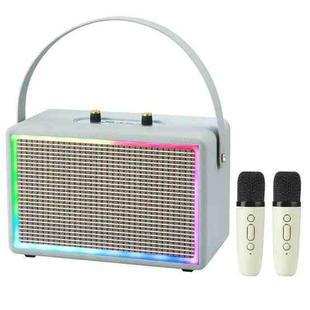 Leather Colorful Light Effect Karaoke Audio Retro Outdoor Bluetooth Speaker, Style: Dual-microphone(Gray)