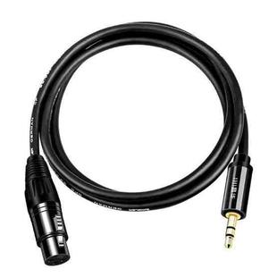 JINGHUA 3.5mm Male To XLR Female Microphone Cable Computer Mixer Audio Cable, Length: 1.5m