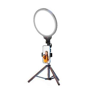 10.2 Inch Full-Screen Selfie Ring Light Tripod Set for Live Stream, Spec: 55cm Bracket