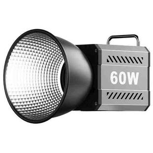 Desiontal ZU-60 60W Hand-Held Camera Light High Power Fill Light, EU Plug, Spec: Standard