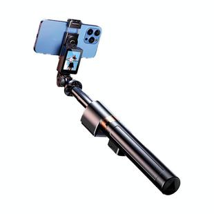 Mobile Phone Screen Mirroring Selfie Stick Real-time Display Mobile Phone Rear Photo Live Tripod Stand(Black)