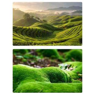 57 x 87cm Double-sided 3D Forest Photography Background Paper Photography Props(07)