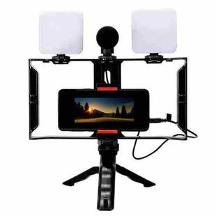 Smartphone Video Rig Kit with LED Fill Light & Microphone All-in-One Mobile Live Streaming(AY-49X)