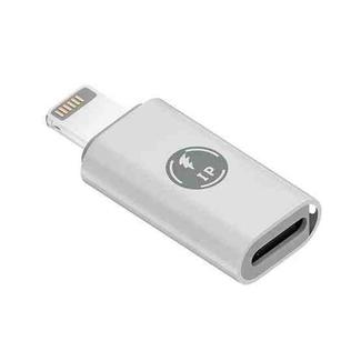 8 Pin Male to USB-C / Type-C Female ABS Charging Adapter