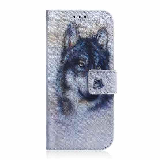 For Tecno Camon 20 Pro 5G Coloured Drawing Flip Leather Phone Case(White Wolf) - 2